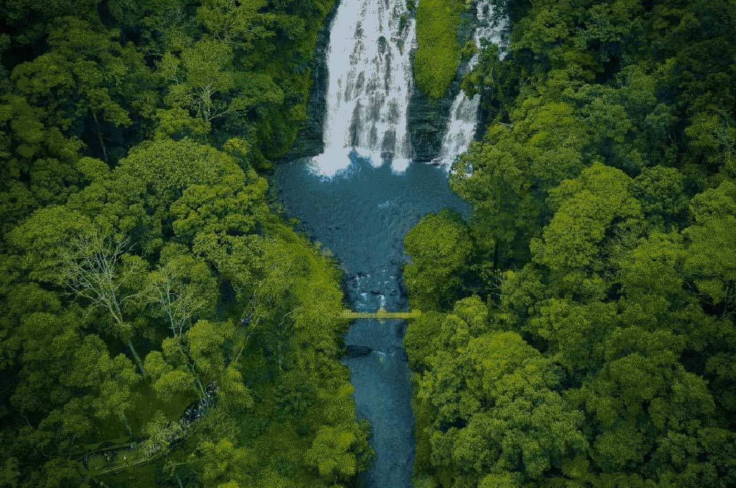 Coorg