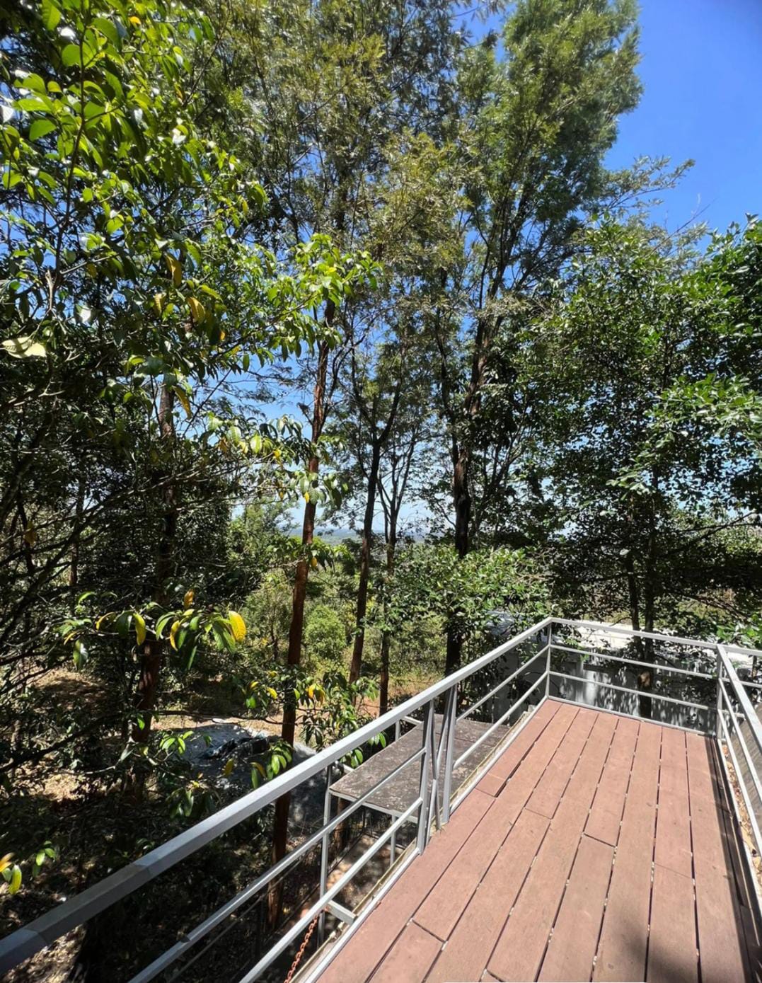 Casita Wild Root Stay