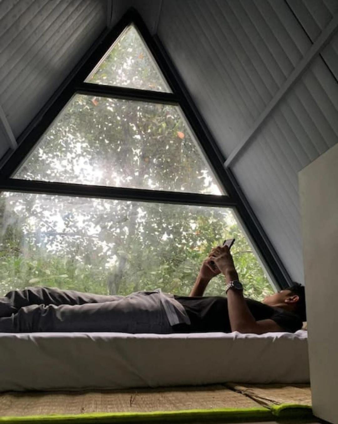 Casita Wild Root Stay