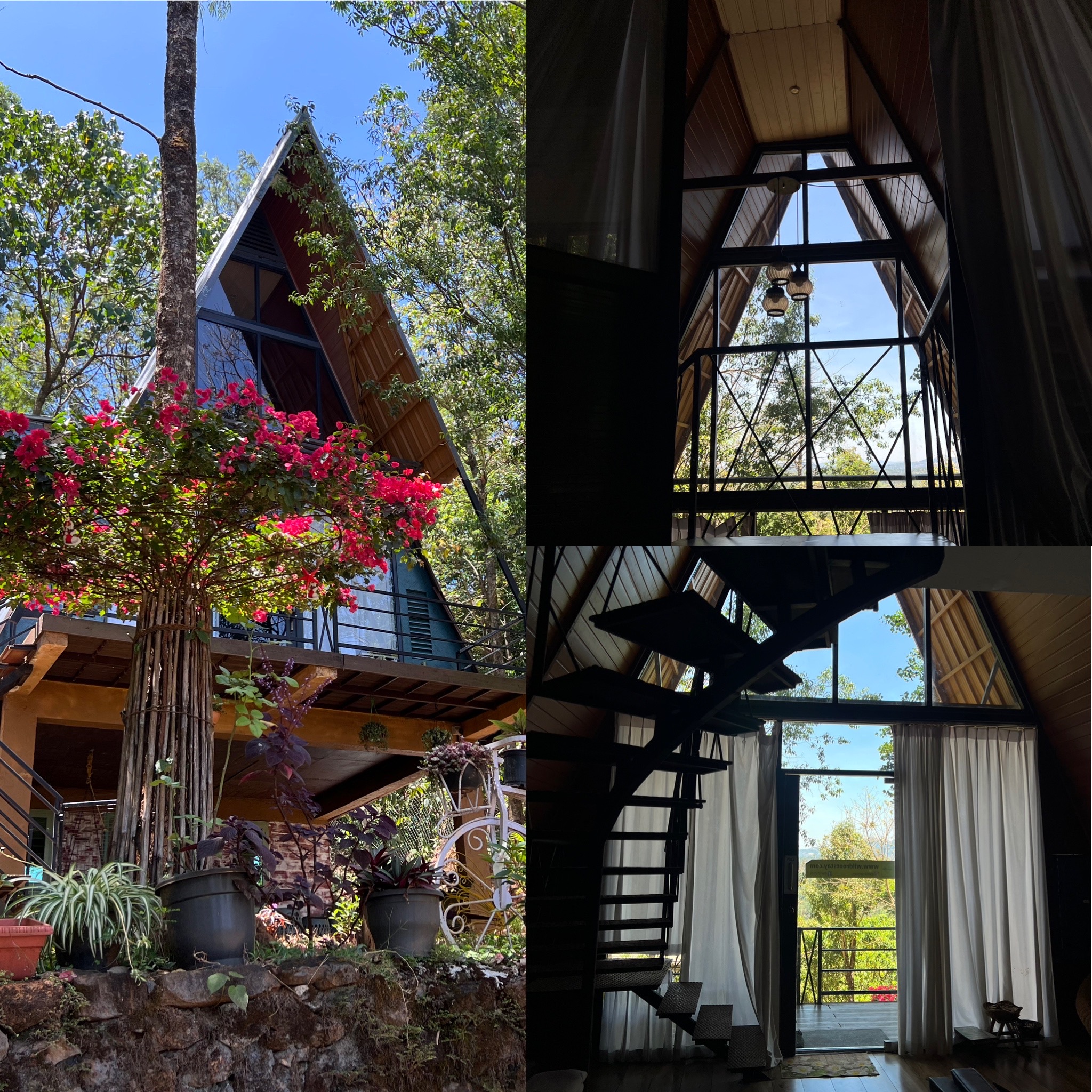 Casita Wild Root Stay