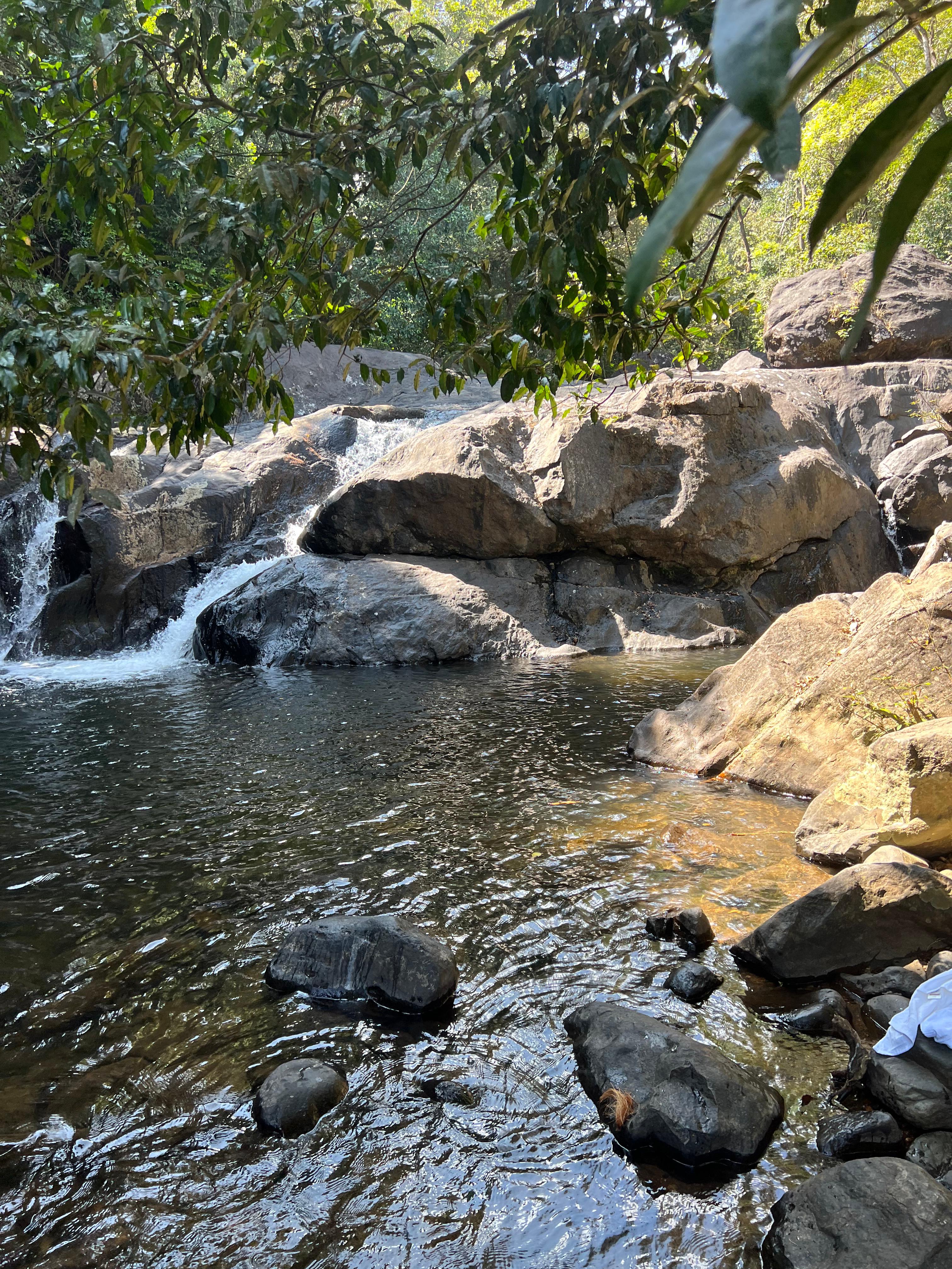 Casita Wild Root Stay
